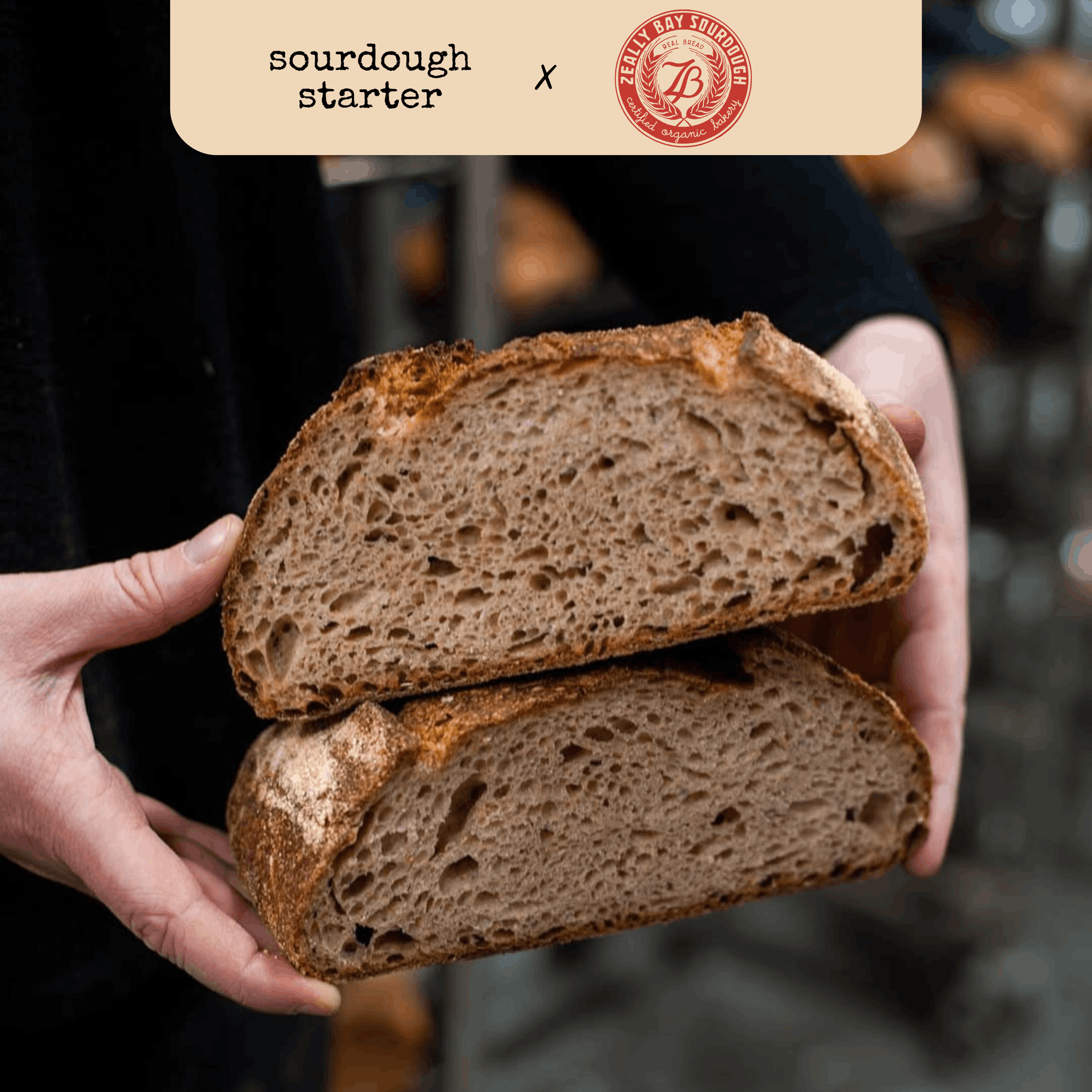 Spelt, Buckwheat & Polenta Sourdough